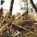 Talisman Sabre 15