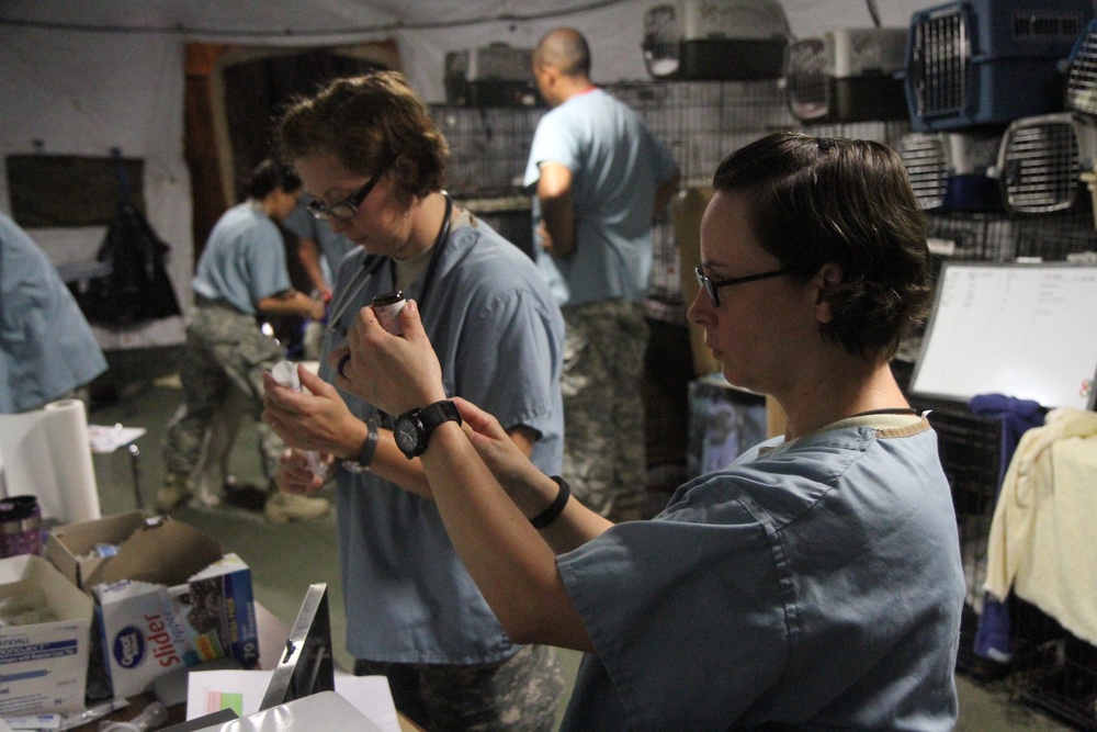 Service members prepare medication prior to surgery at IRT in Norwich, NY