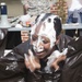 55th Signal Company FRG Pie in the Face