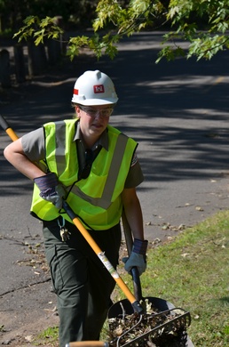 Fierce storm destroys vehicles, trees