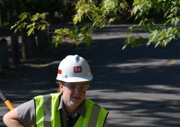 Fierce storm destroys vehicles, trees