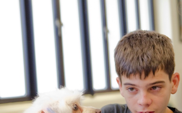 Telling a tale with a tail