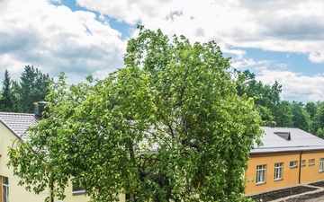 Airmen renovate Latvian orphanage