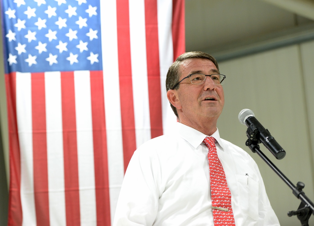 Secretary of defense speaks to multinational troops