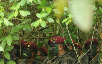 Fuerzas Comando 15