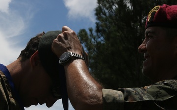 Fuerzas Comando 15
