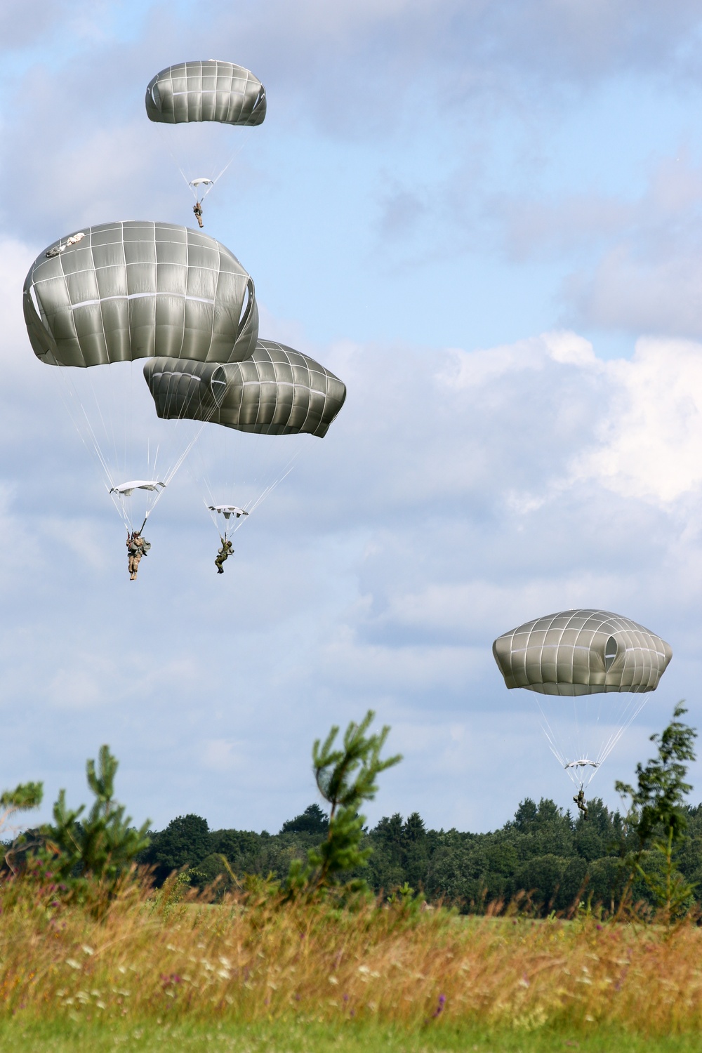 Airborne jump in Estonia