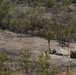 Marines conduct live-fire ranges as part of Talisman Sabre
