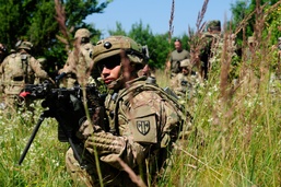 US, Ukraine, Romania and Bulgaria train together at Rapid Trident 2015