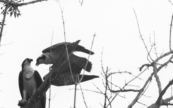 George Washington's Mt. Vernon