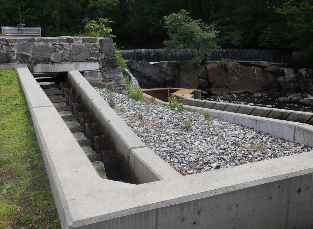New fish ladders to help improve fish populations at Ten Mile River Restoration Project celebrated