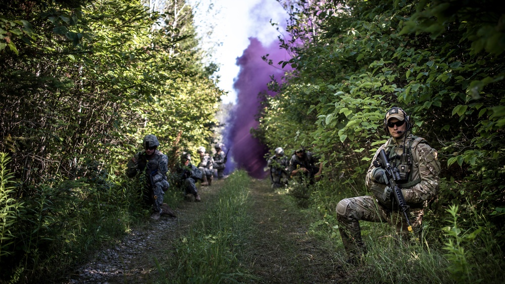 Exercise Northern Strike 2015