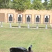 Arkansas Guardsmen demonstrate pistol proficiency
