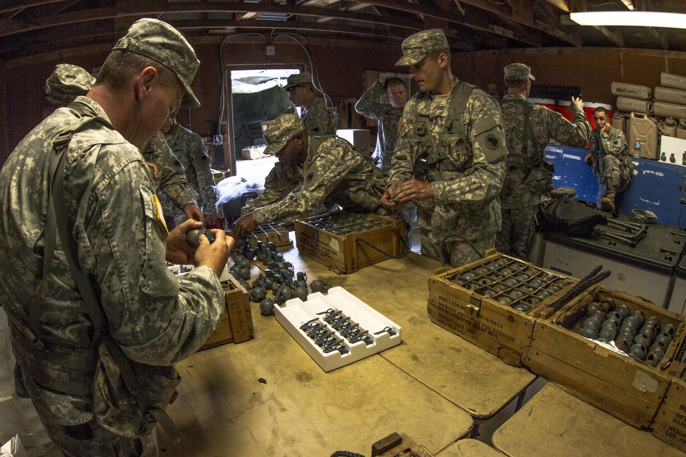 USMA Cadet Summer Training 2015