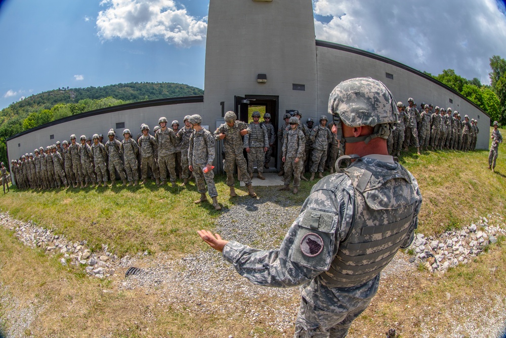 USMA Cadet Summer Training 2015