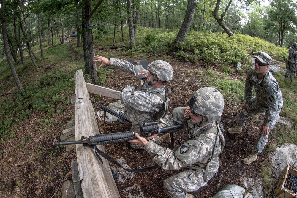 USMA Cadet Summer Training 2015