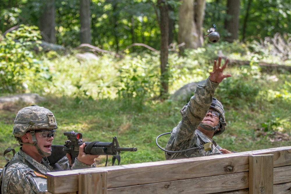 USMA Cadet Summer Training 2015