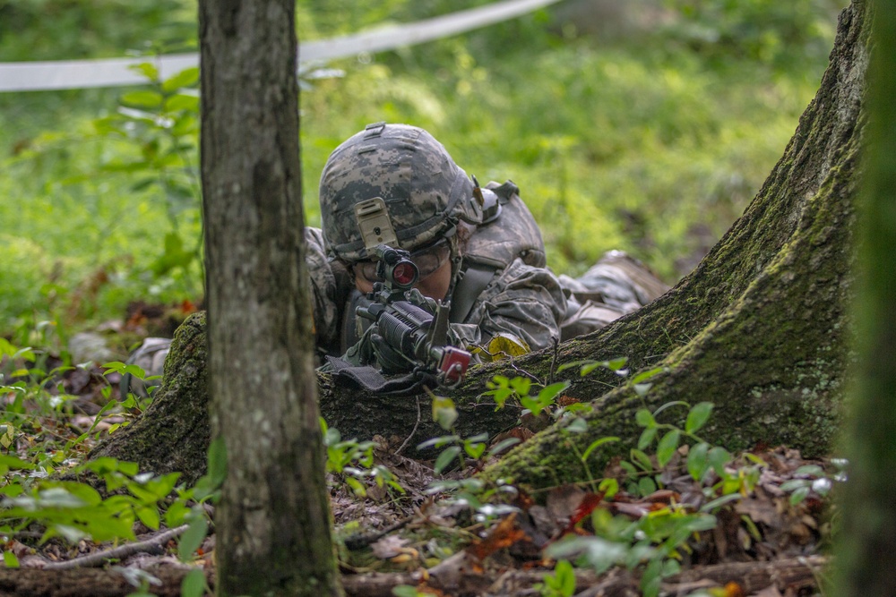 USMA Cadet Summer Training 2015