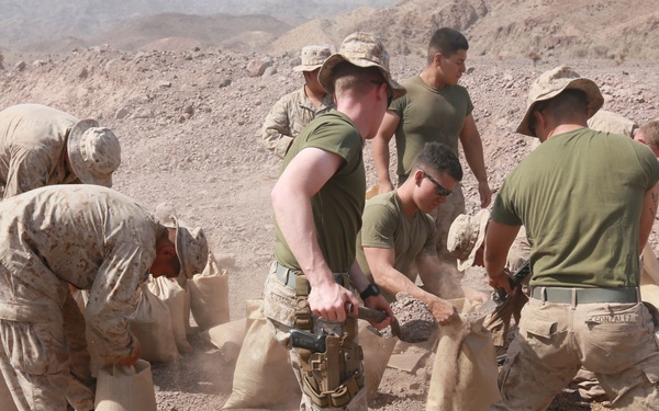 U.S. Marines set up an ECP