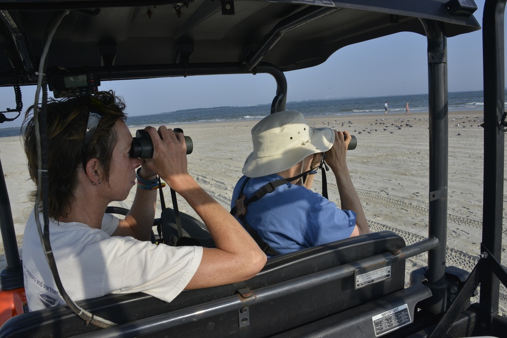 Savannah River islands attract a different type of tourist