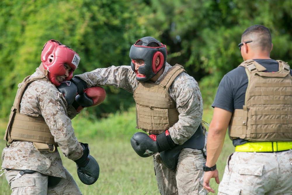 Marines build teamwork, leadership skills, become Martial Arts Instructors