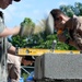 Pump house at Honduras Aguan well site