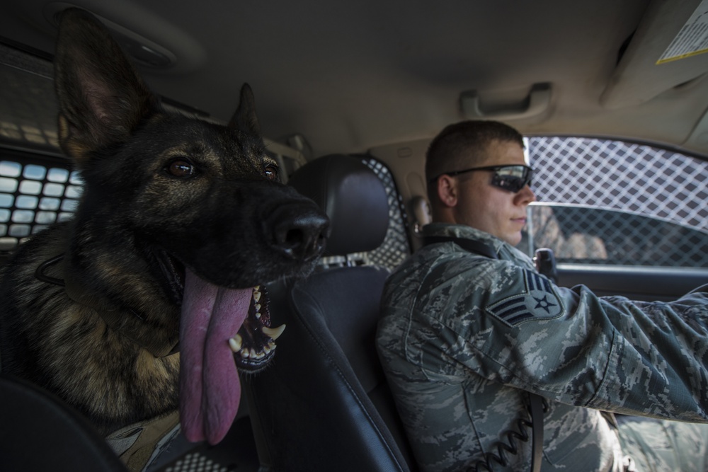 Senior Airman Fuller and his partner, Rocco