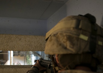 2/10 conducts infantry immersion trainer