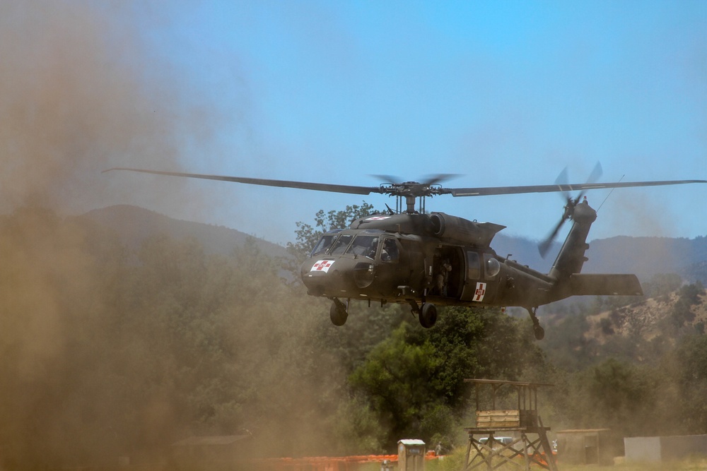 91st Training Division WAREX