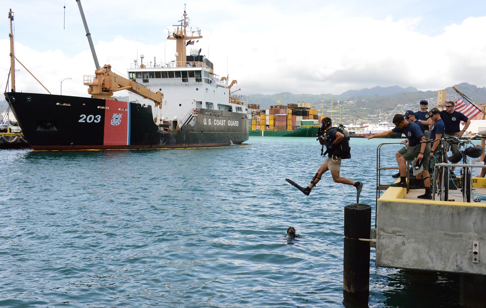 Divers participate in the dive operational readiness assessment