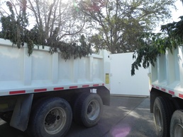 Record $16.5 million worth of marijuana confiscated and destroyed at Fort Hunter Liggett