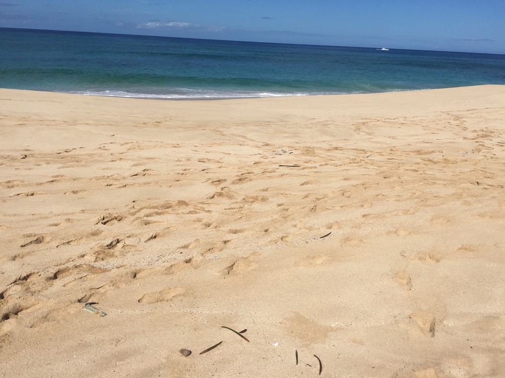 Coast Guard investigates report of tar balls on beach in Oahu