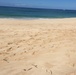 Coast Guard investigates report of tar balls on beach in Oahu