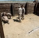 EOD Marines hone their demolition skills in Spain