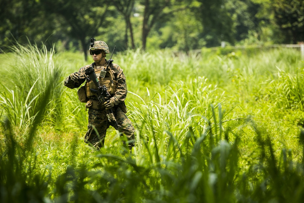 Marines patrol Philippine Jungle