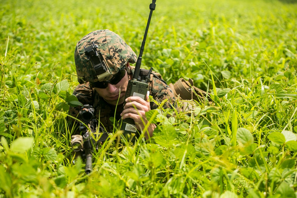 Marines patrol Philippine Jungle