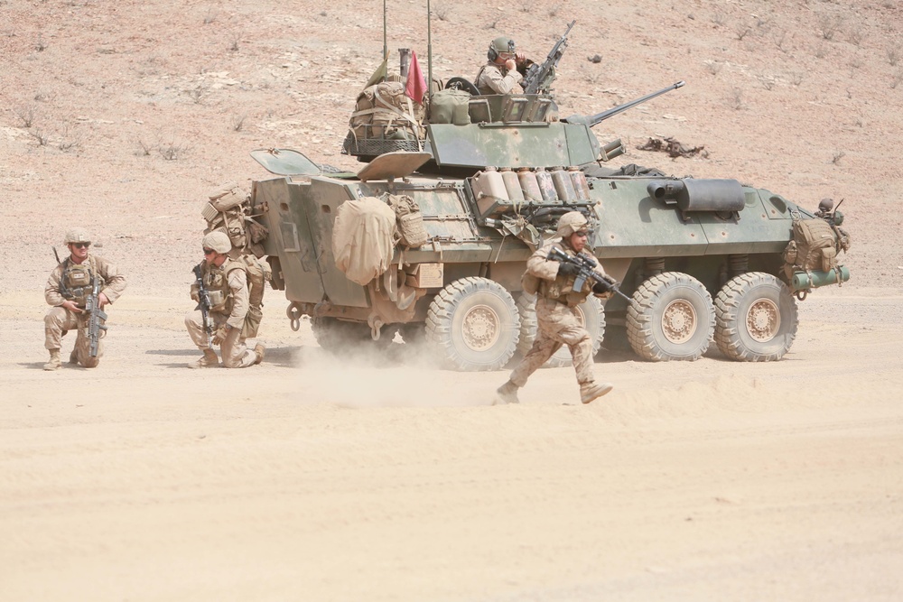 U.S. Marines practice fire and maneuver