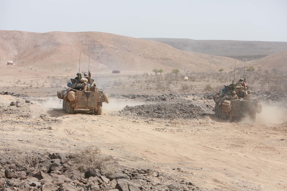 U.S. Marines practice fire and maneuver