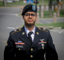 Army professionalism