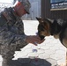 Camp Bondsteel MPs and military working dogs simulate active-shooter response