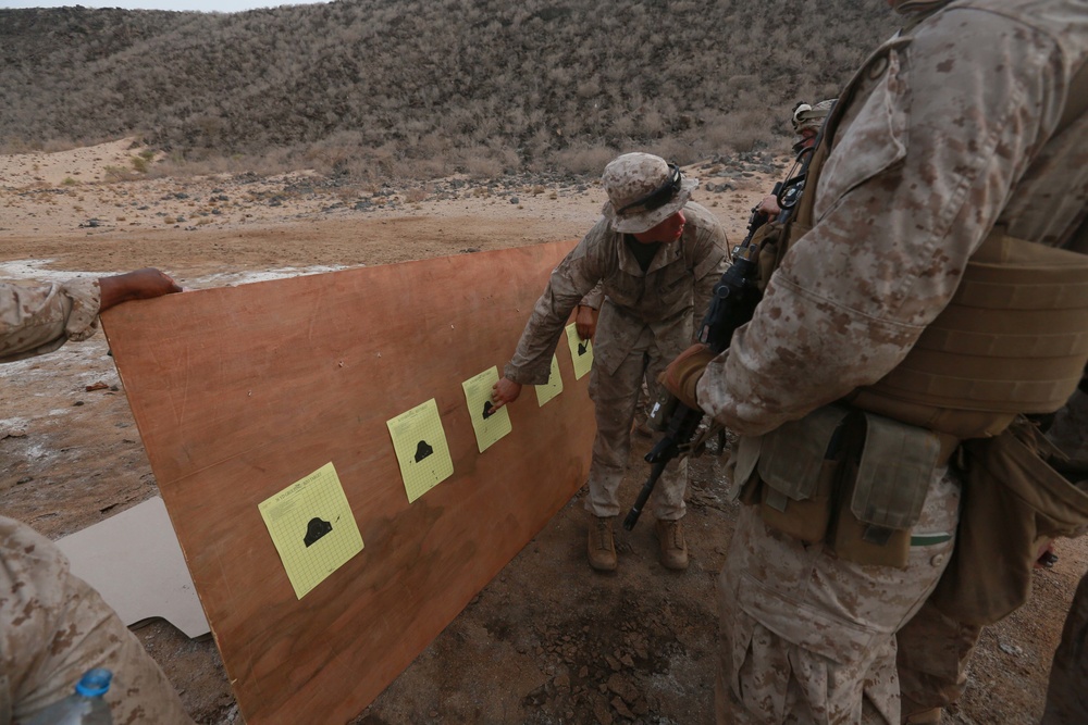 Finding the bullseye: U.S. Marines BZO weapons