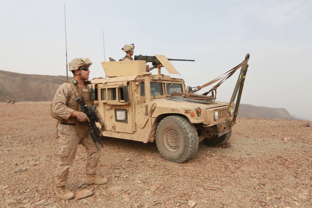 The big guns: U.S. Marines practice taking out tanks