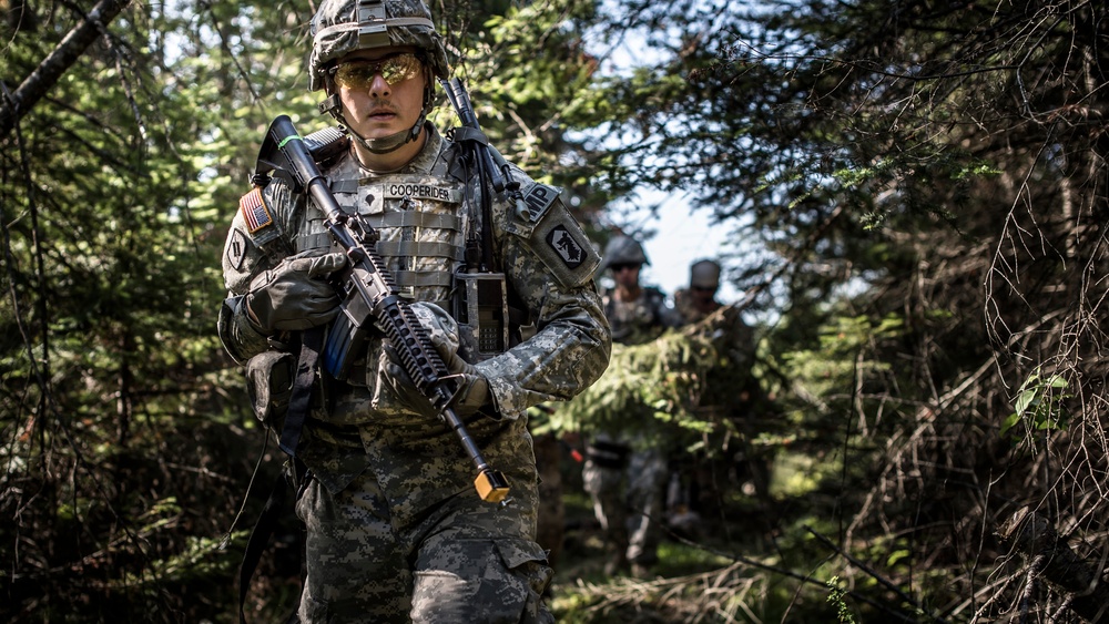 Exercise Northern Strike 2015