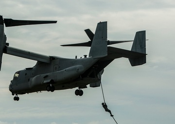 U.S. and Philippine Marines fast rope from Ospreys