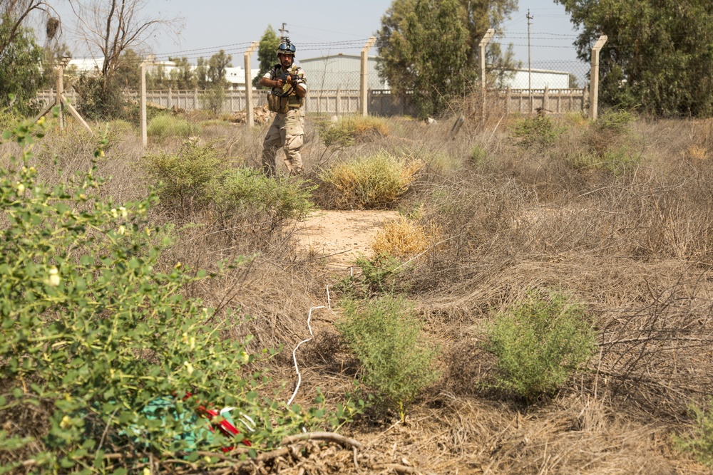 Counter improvised explosive device training, Operation Inherent Resolve