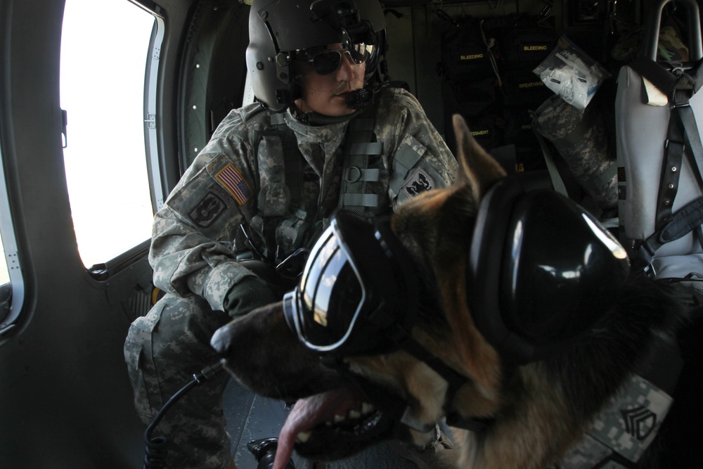 Sgt. Hundi takes in the aerial view