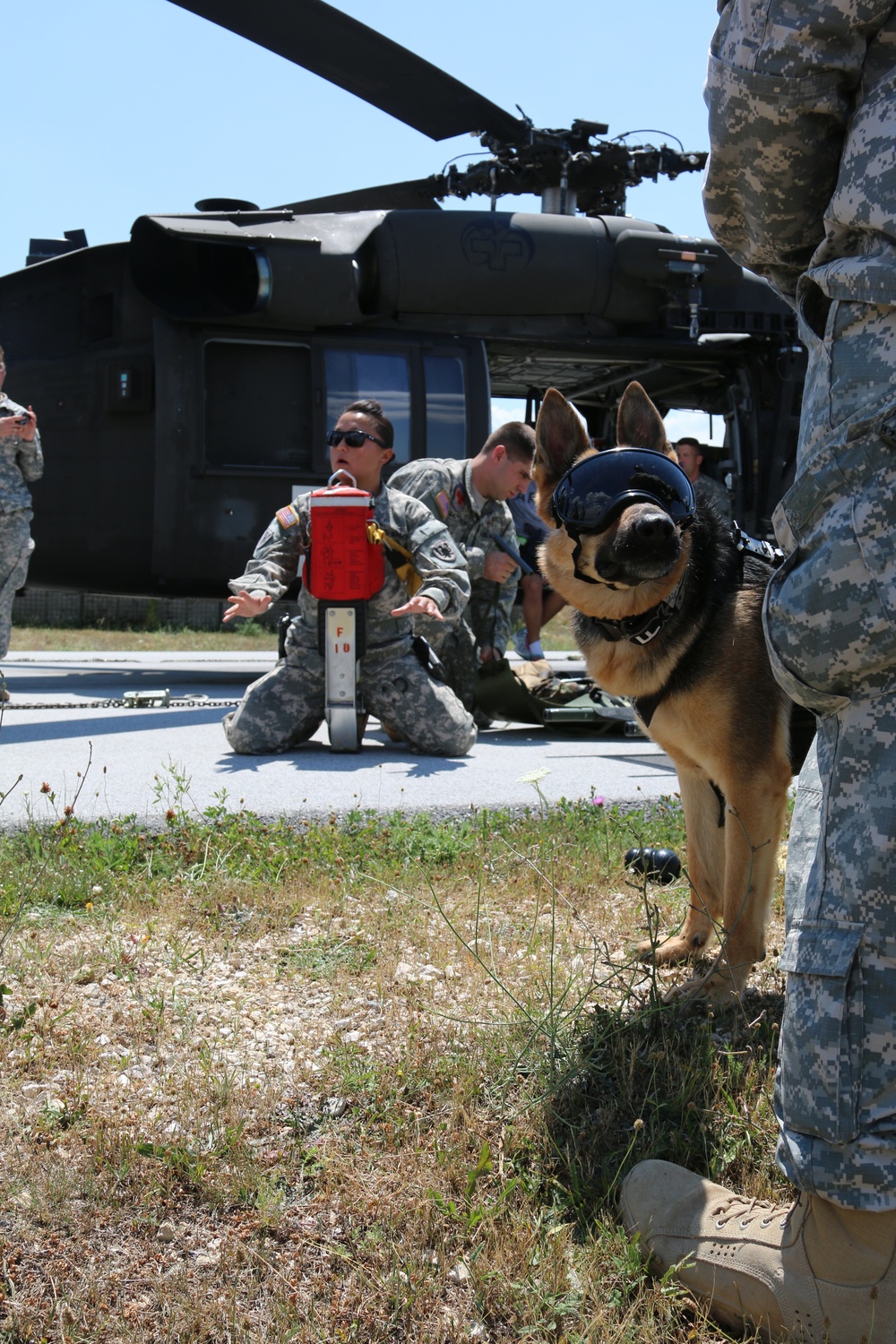 Aviators performs medevac training, military working dogs climb to new heights