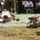 A military fitness evaluation or competition is taking place outdoors, where a soldier in a white t-shirt performs push-ups under a wooden frame structure used to measure proper form. A female soldier in camouflage uniform photographs the event from ground level, while an observer in a white shirt monitors the performance. A seated audience of military personnel and observers watches from the background.