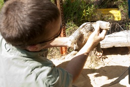 Environmental office preserves the natural and cultural resources during military training