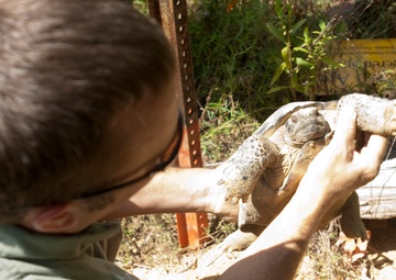 Environmental office preserves the natural and cultural resources during military training